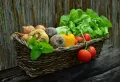 Stay Healthy This Spring with Seasonal Produce